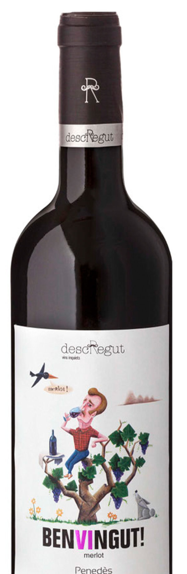Benvingut, vi de mínima intervenció del celler Descregut al Penedès