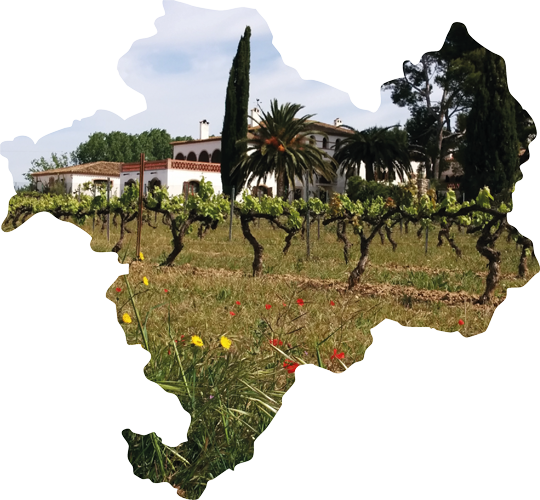 Celler Ecològic Can Descregut Celler Ecològic Can Descregut